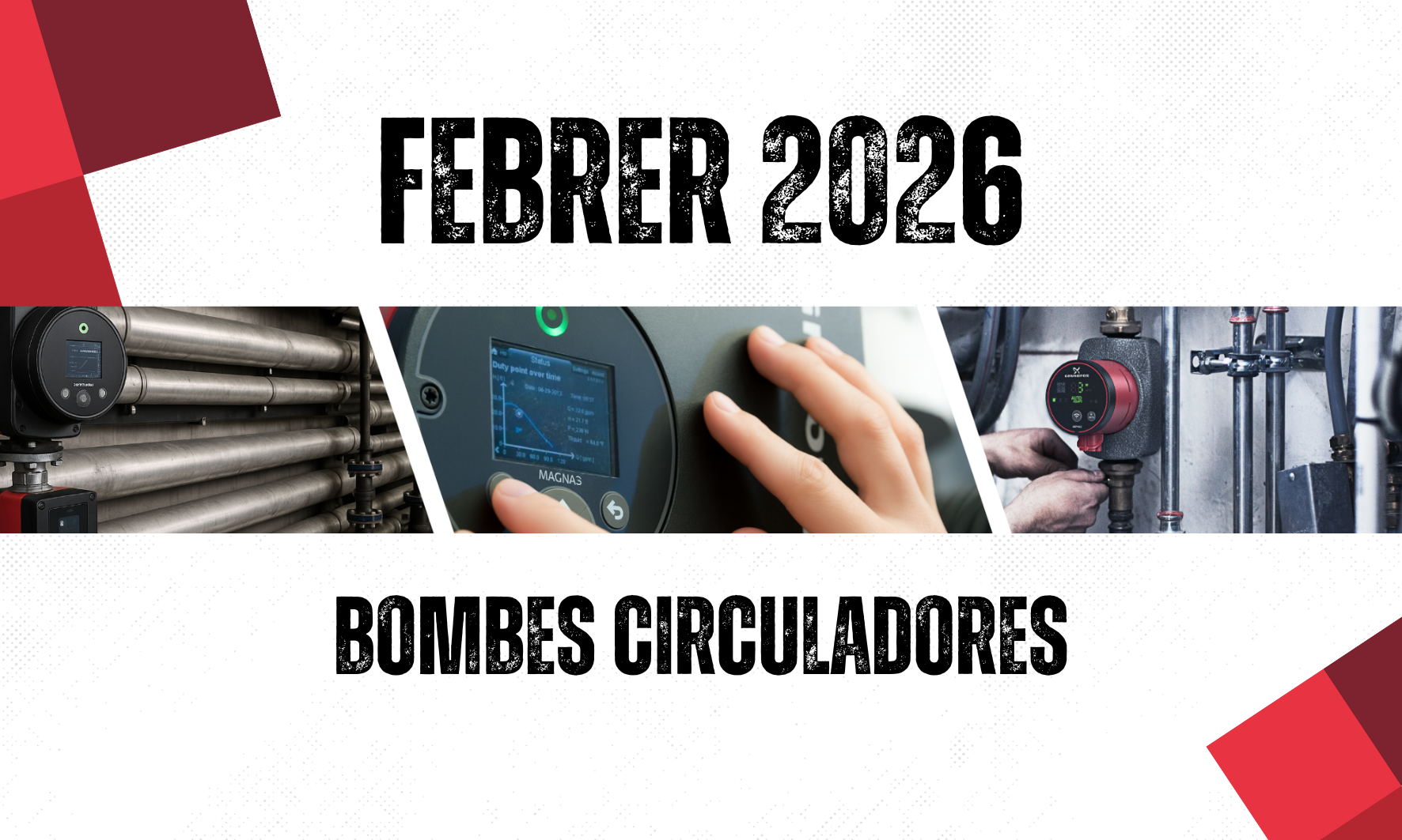 Febrer: bombes circuladores